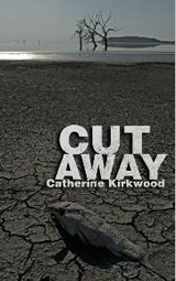 cut-cover